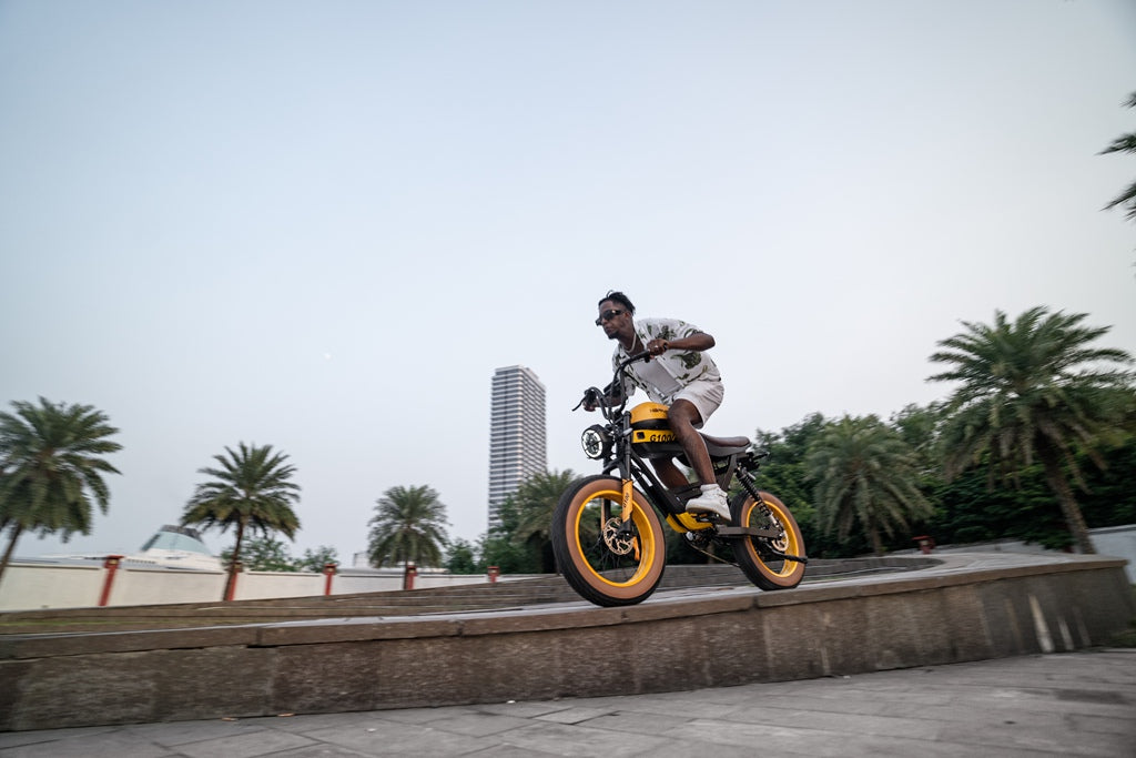 How to Choose the Perfect Electric Bike for Adult Riders?