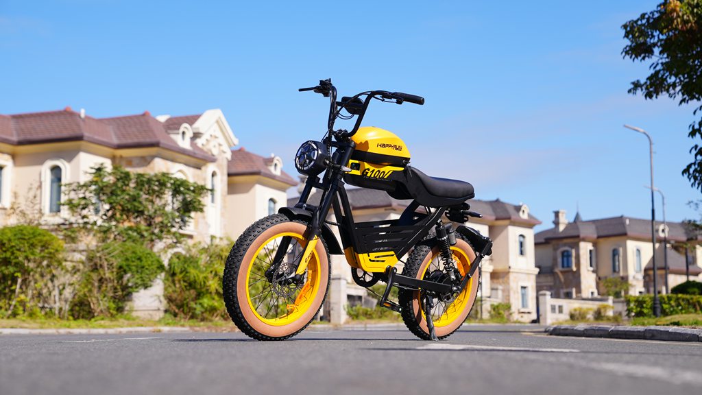 retro vintage style retro electric bicycle RE 52V 20Ah Samsung battery Rayvolt Ringo - Retro Electric