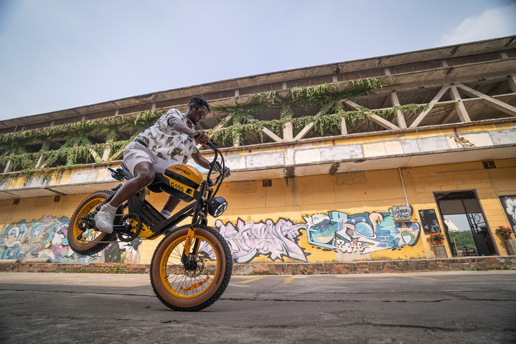 Unleashing long Term of Cycling: The Tank G100 Electric bicycle