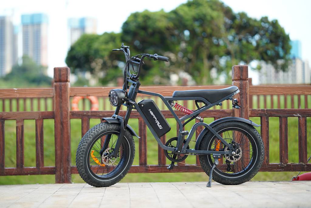 Long-Range Moped-Style Electric Bike with Lithium Battery Technology