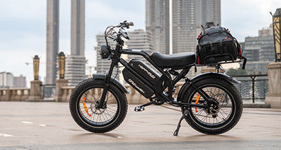 Cargo E Bike