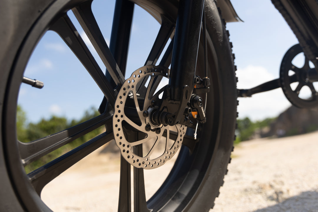 brake disk adult electric bikes