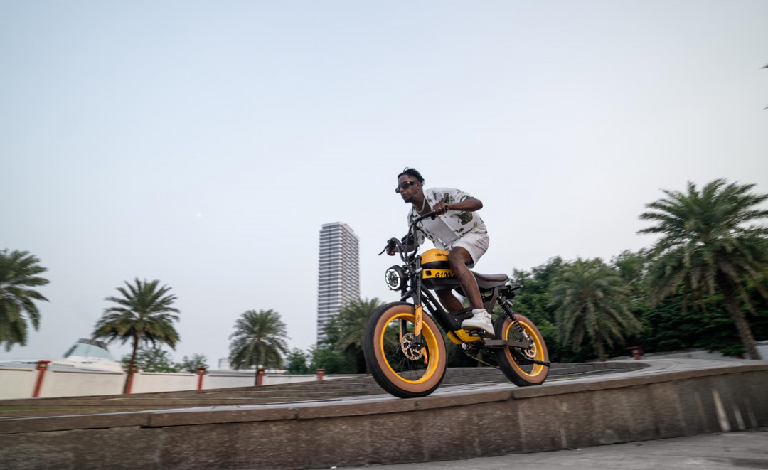 E bike How much do you know about the functions: Long Range Electric Bike