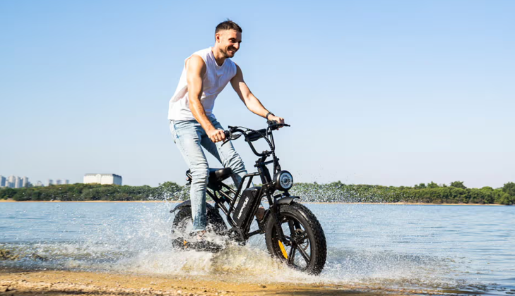 Grasping Economical Versatility: Adult Bike Electric And Step Through Electric Bikes Driving THE WAY
