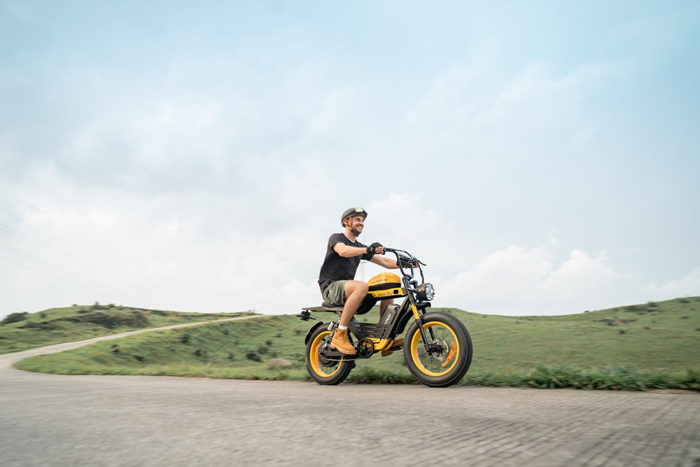 What Makes the Freego Shotgun Flash F3 Pro Max Premium Electric Bike Stand Out?