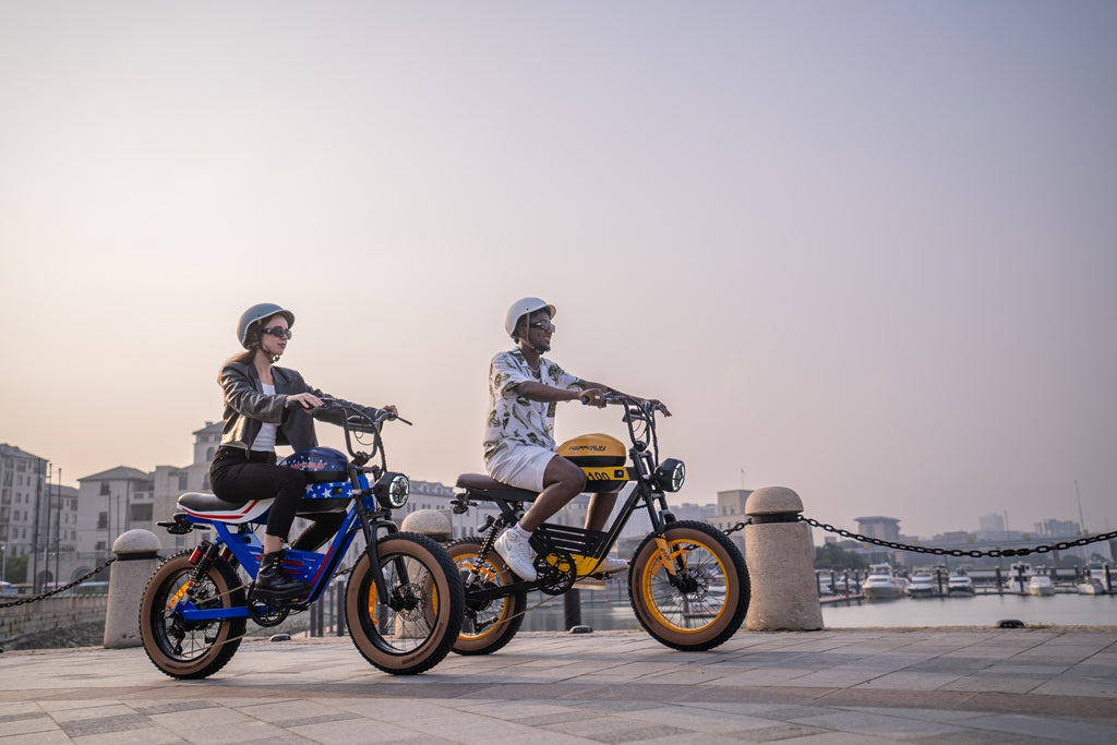 Long-Range Electric Bikes: Exploring the Limits of Distance