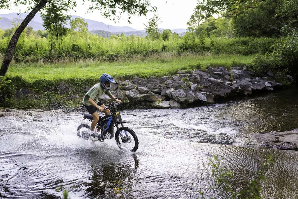 Is Buying Electric Off-Road Vehicles Online Reliable? A Complete Guide
