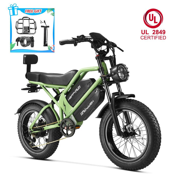 HappyRun G70 UL 2849 Certified Dual Battery Fast Electric Cargo Bike for Sale