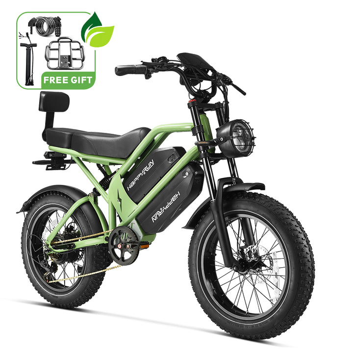 HappyRun G70 2000W Dual Battery Fast Electric Cargo Bike for Sale