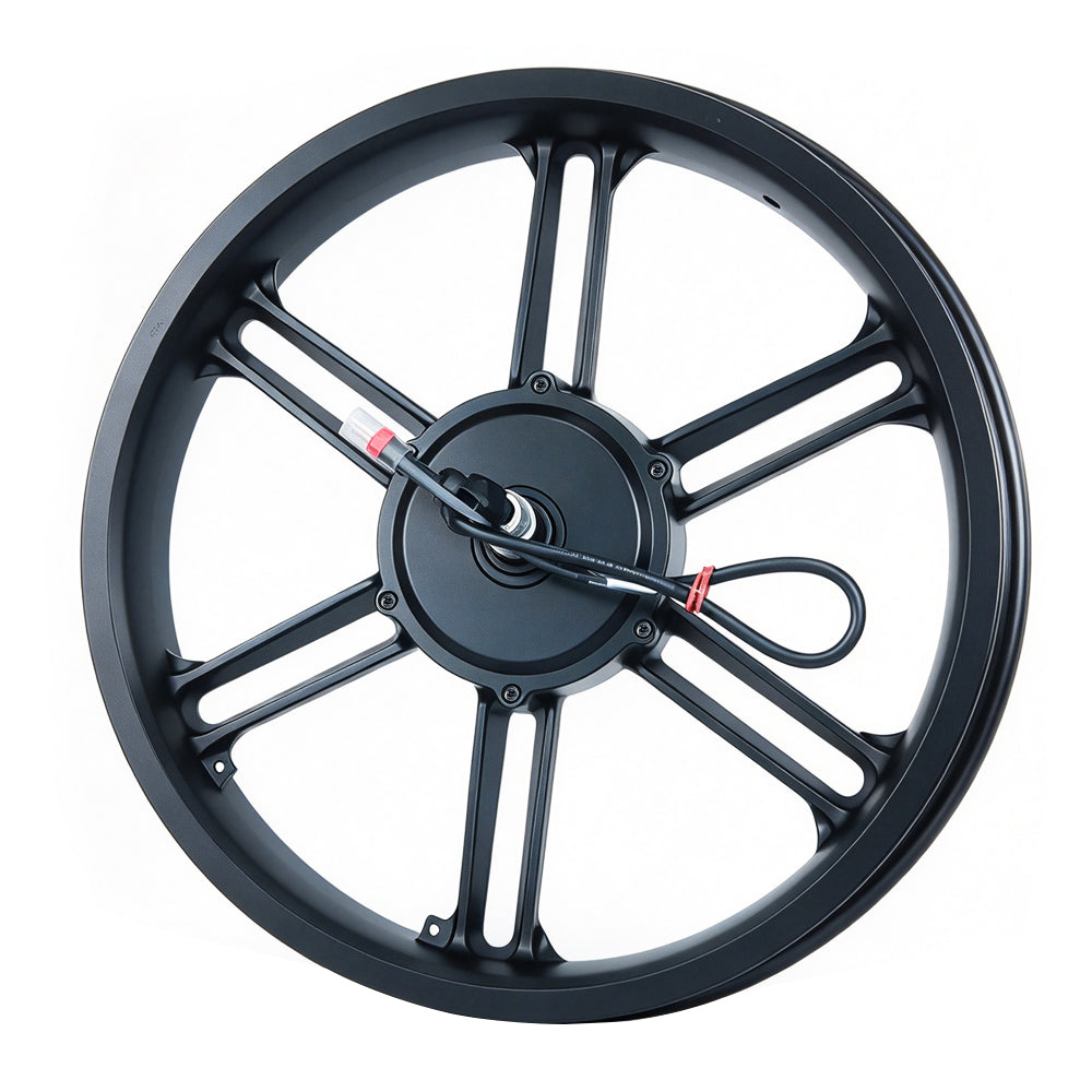 HappyRun Motor For Electric Motorcycle