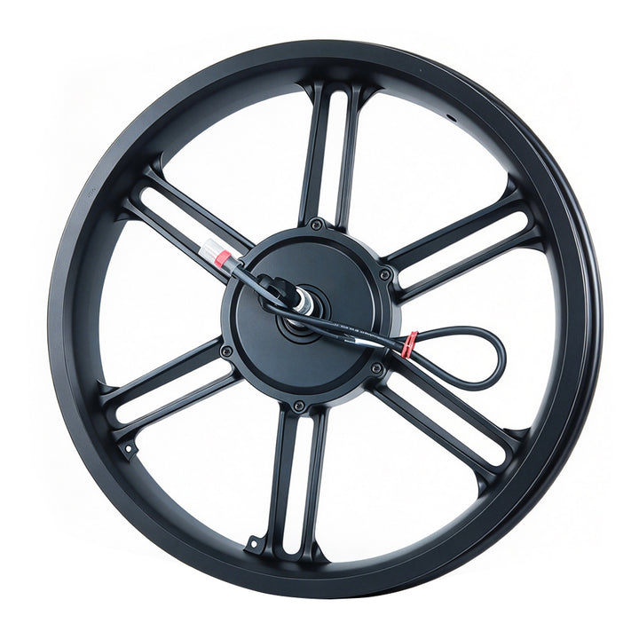HappyRun Motor For Electric Motorcycle