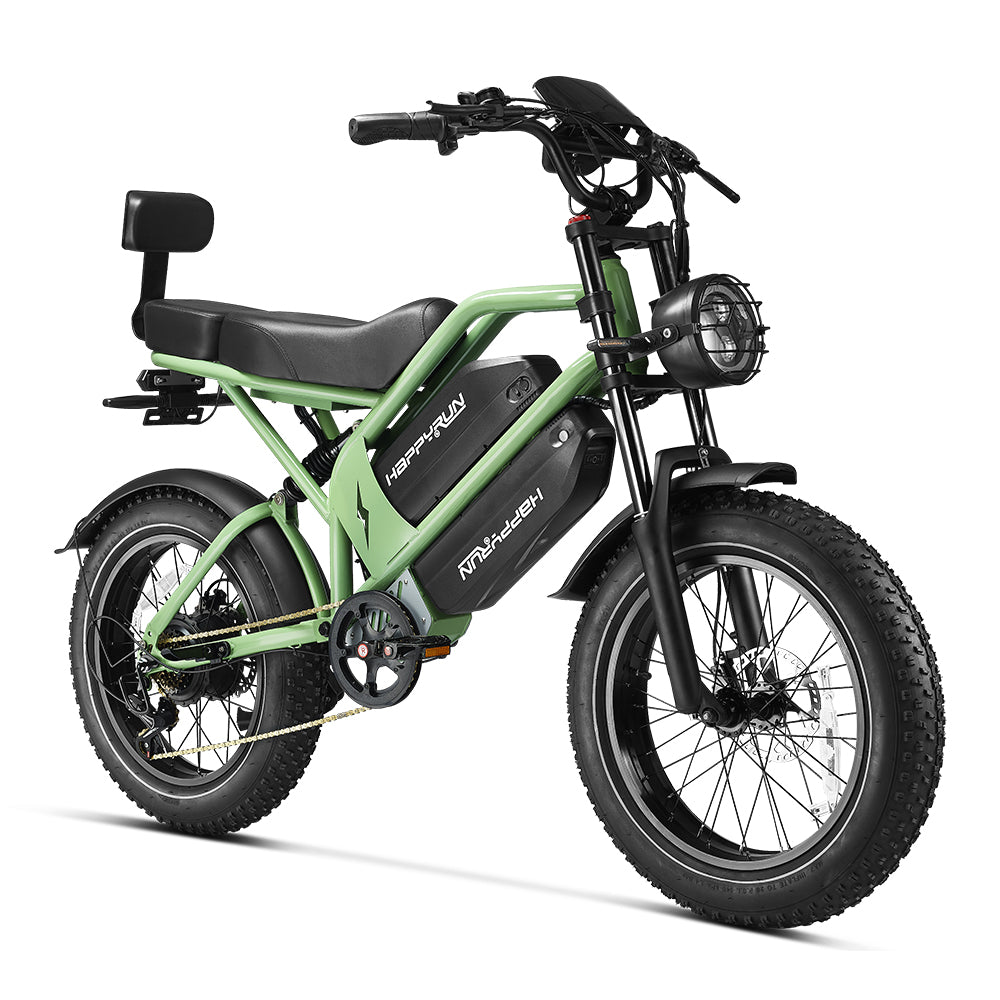 2025 NEW HappyRun G70 2000W Dual Battery Fast Electric Cargo Bike for Sale