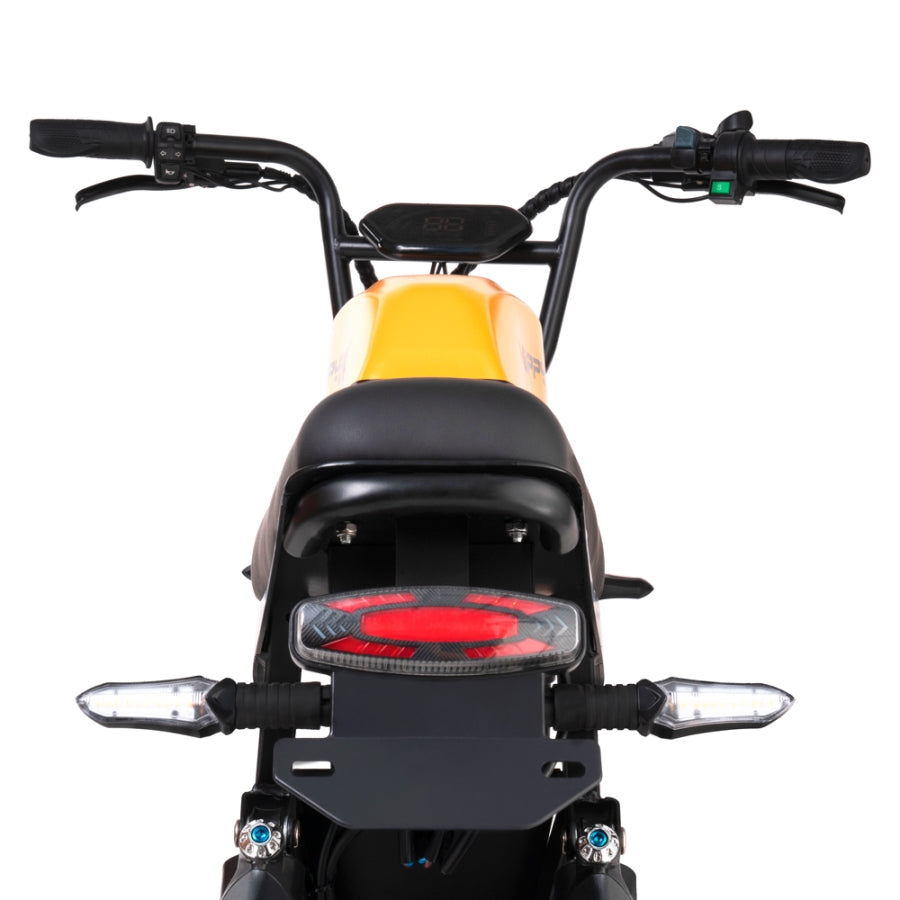 HappyRun 1000W Fast Ebike G100 Dual Batteries