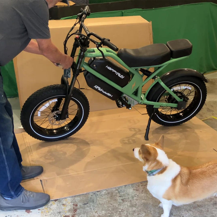 New 2025 HappyRun G70 2000W Dual Battery Cargo Ebike