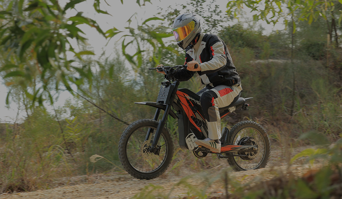 Tank G100 Electric Bike | Happyrun Ebike